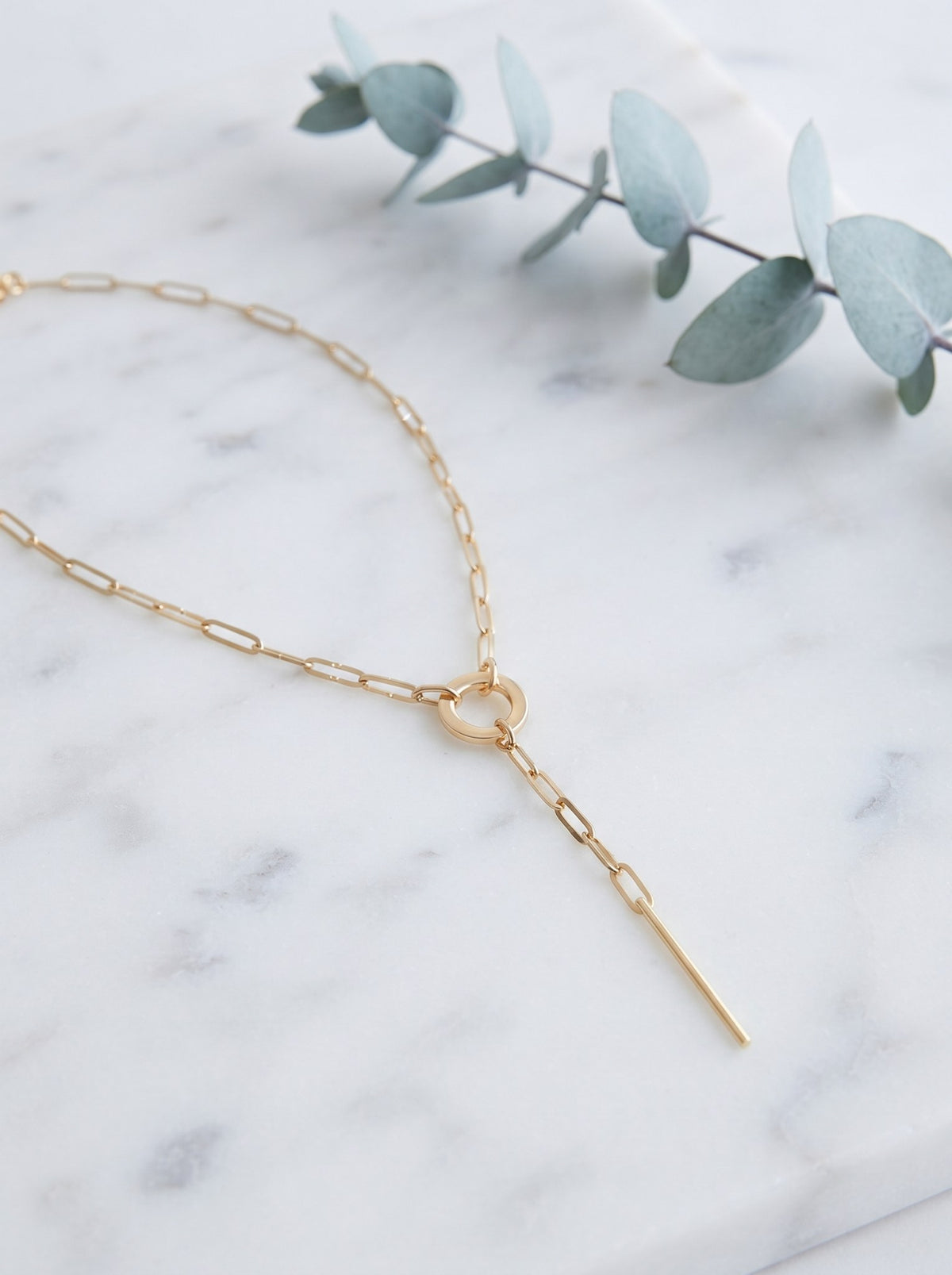 Corbatin Aro Dorado · Lifestyle · Anturia