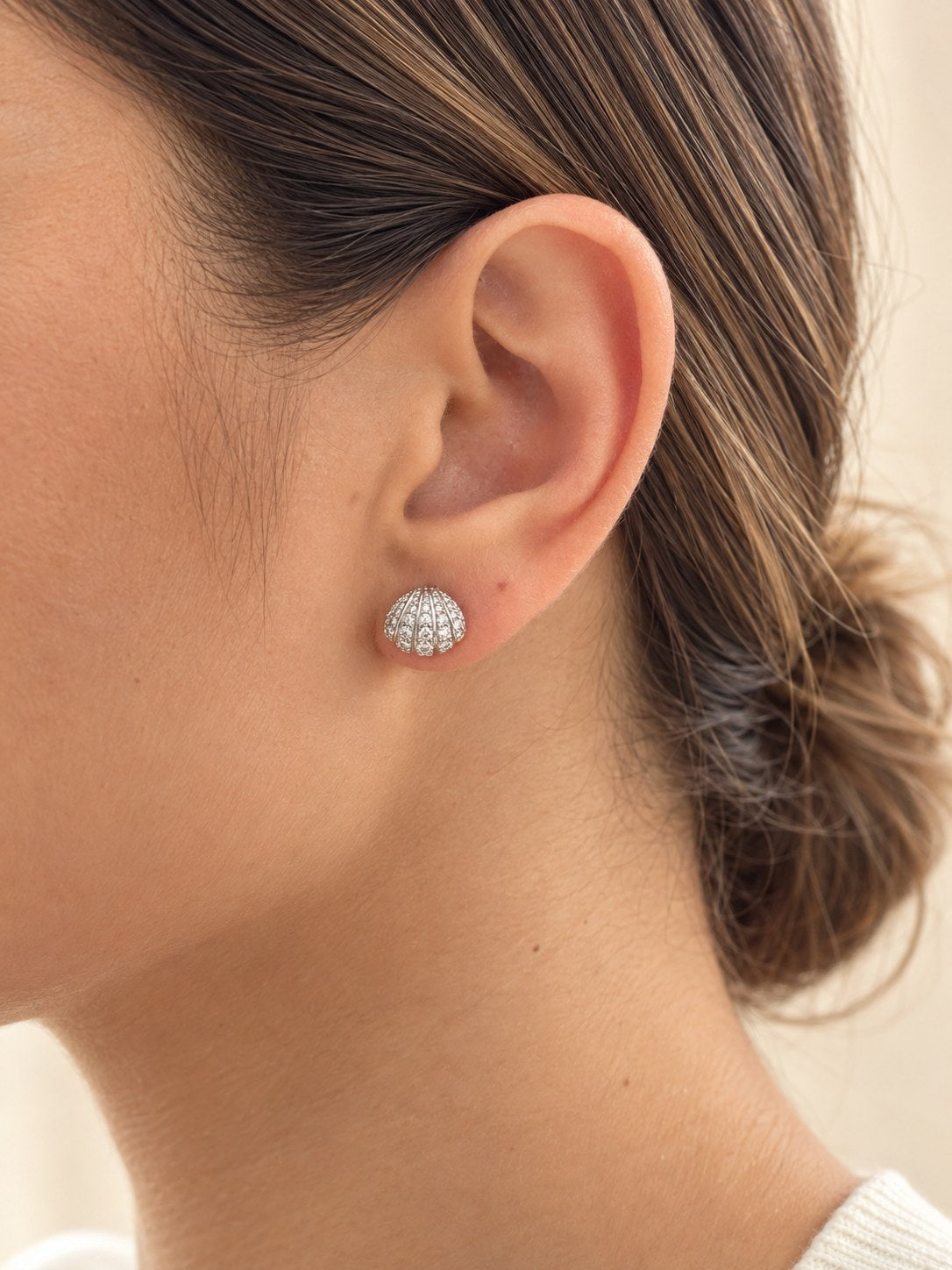 Topo Concha Microzircón P · Modelo · Anturia